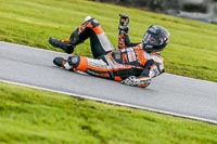 Oulton-Park-14th-March-2020;PJ-Motorsport-Photography-2020;anglesey;brands-hatch;cadwell-park;croft;donington-park;enduro-digital-images;event-digital-images;eventdigitalimages;mallory;no-limits;oulton-park;peter-wileman-photography;racing-digital-images;silverstone;snetterton;trackday-digital-images;trackday-photos;vmcc-banbury-run;welsh-2-day-enduro